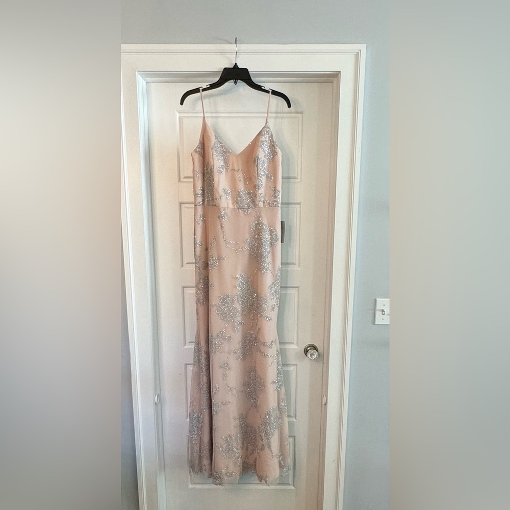 NWT size 10 tulle gown lovely blush with silver trim.